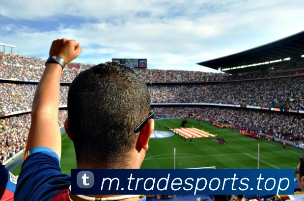 球赛投注平台生态图